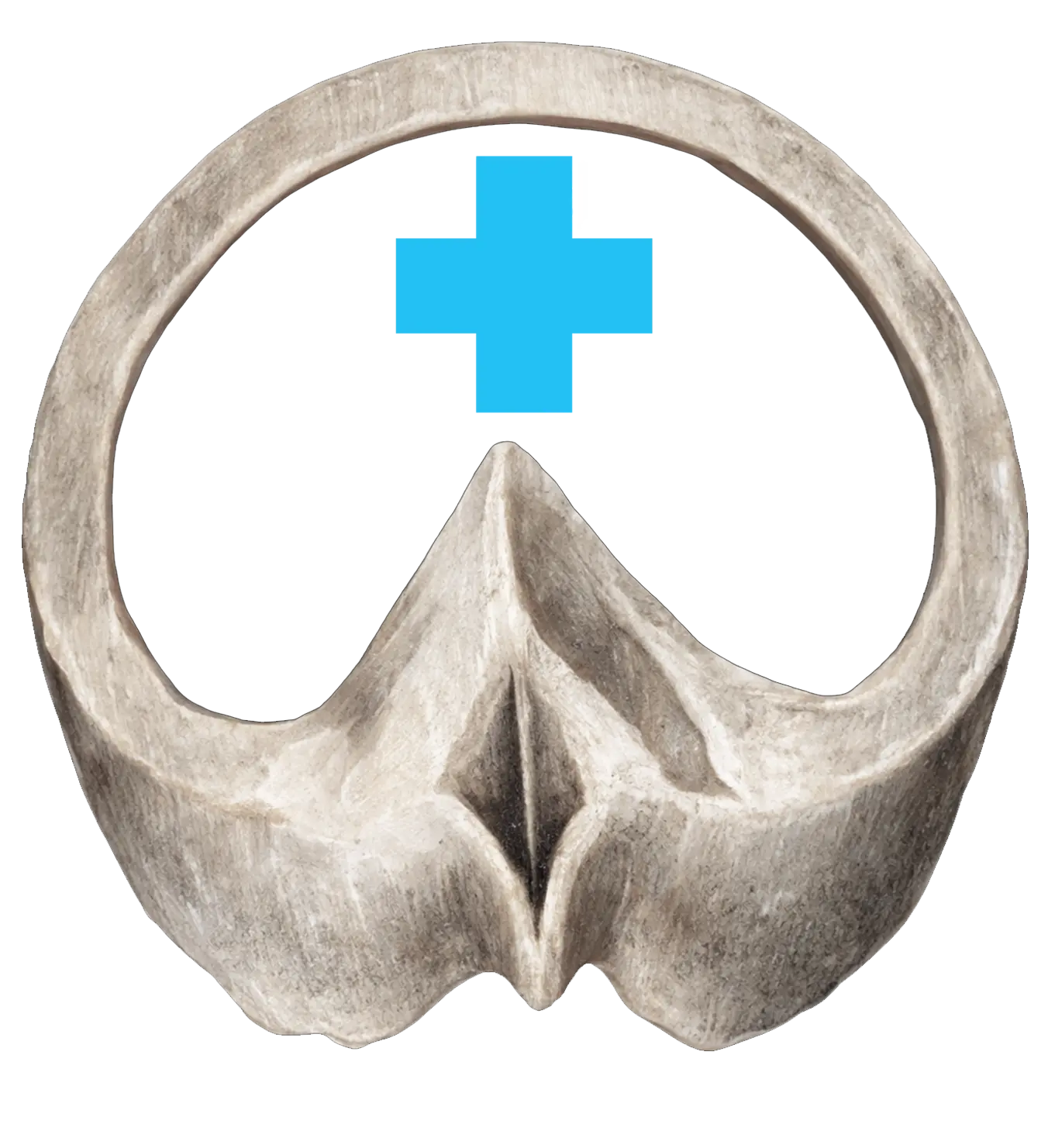 pannon-logyogyaszati-logo
